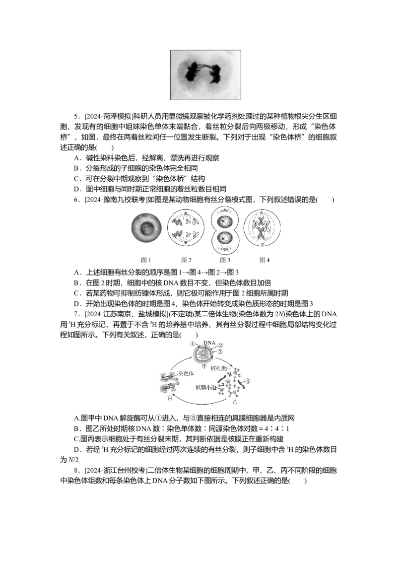 2025届高中生物学一轮复习检测案12　细胞周期和细胞的有丝分裂（含解析）_2025年新高考资料_一轮复习_2025届高中生物学一轮复习分层复习检测(含解析)