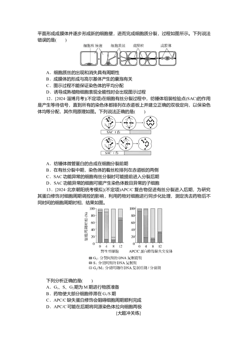 2025届高中生物学一轮复习检测案12　细胞周期和细胞的有丝分裂（含解析）_2025年新高考资料_一轮复习_2025届高中生物学一轮复习分层复习检测(含解析)