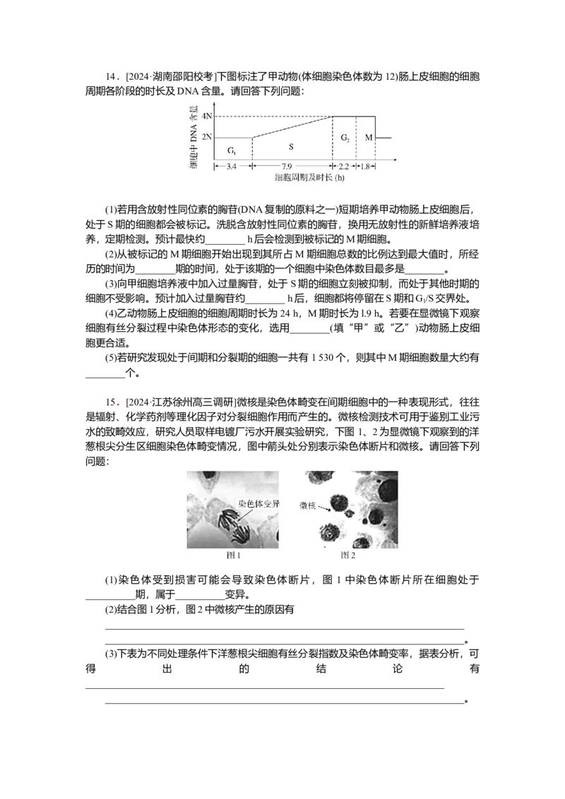 2025届高中生物学一轮复习检测案12　细胞周期和细胞的有丝分裂（含解析）_2025年新高考资料_一轮复习_2025届高中生物学一轮复习分层复习检测(含解析)