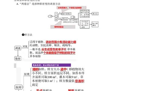 第33讲种群及其动态（讲义）（学生版）_2024年新高考资料_1.2024一轮复习_2024年高考生物一轮复习讲练测（新教材新高考）