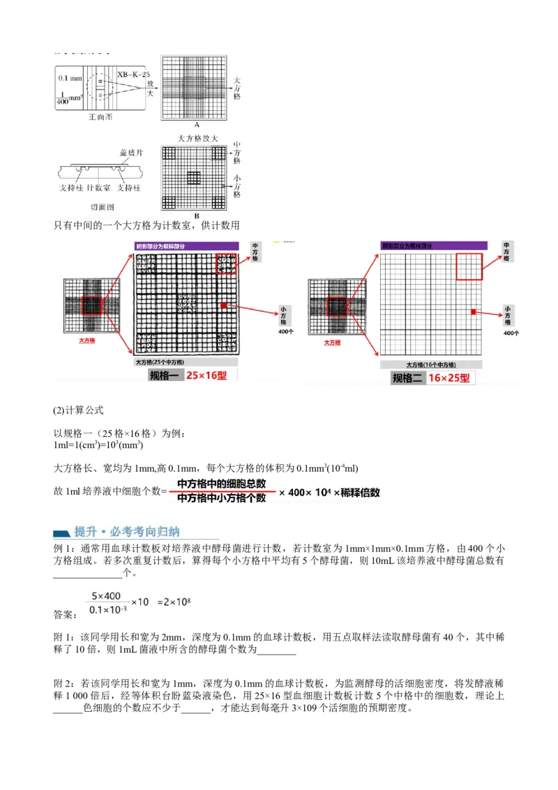 第33讲种群及其动态（讲义）（学生版）_2024年新高考资料_1.2024一轮复习_2024年高考生物一轮复习讲练测（新教材新高考）