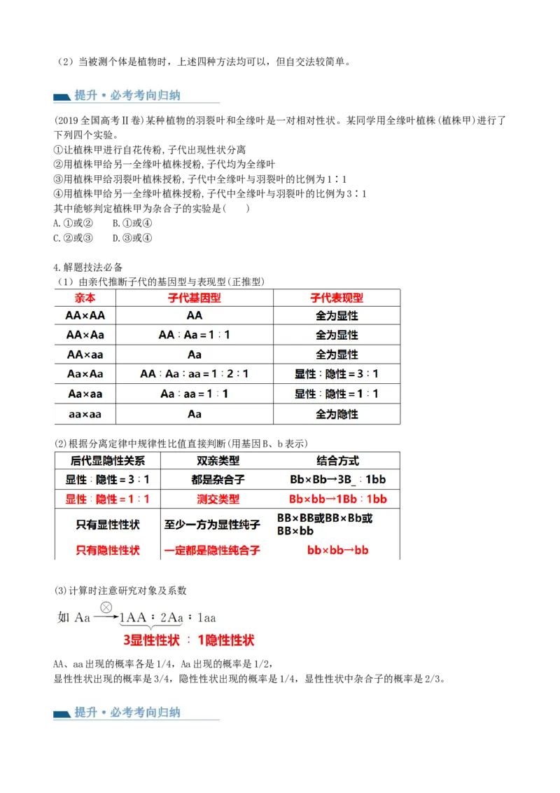 第16讲基因的分离定律（讲义）（学生版）_2024年新高考资料_1.2024一轮复习_2024年高考生物一轮复习讲练测（新教材新高考）
