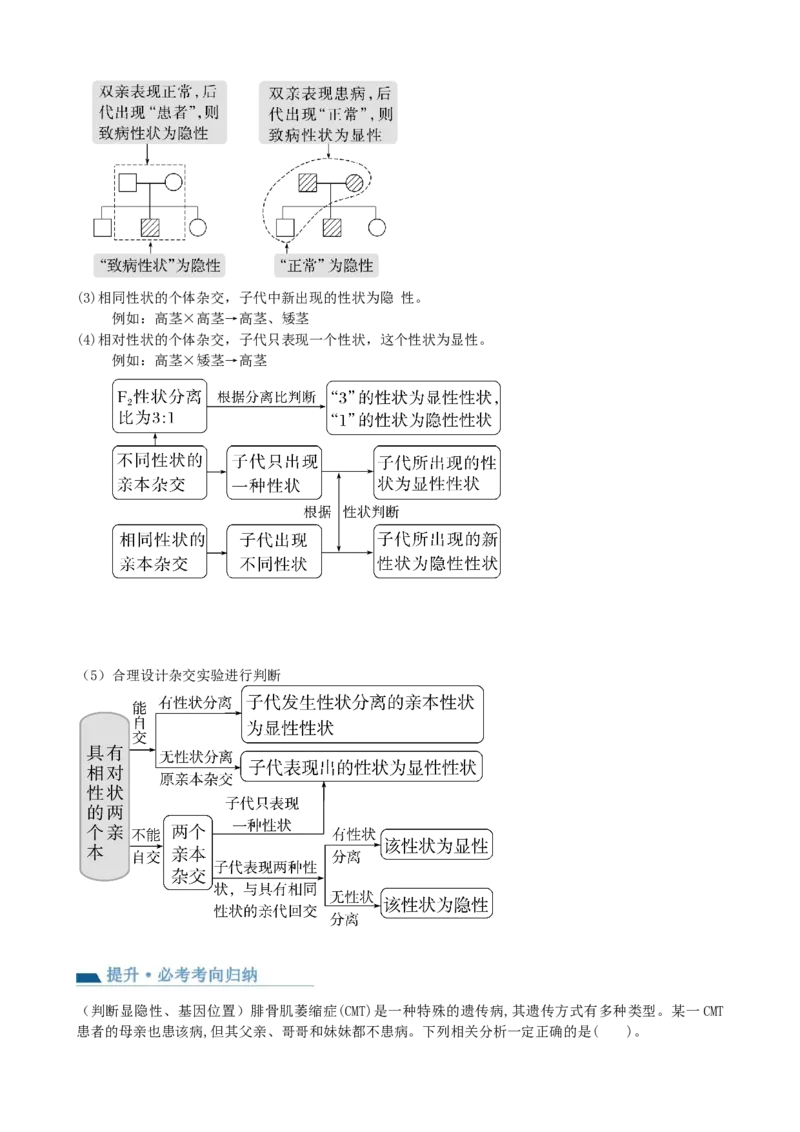 第16讲基因的分离定律（讲义）（学生版）_2024年新高考资料_1.2024一轮复习_2024年高考生物一轮复习讲练测（新教材新高考）