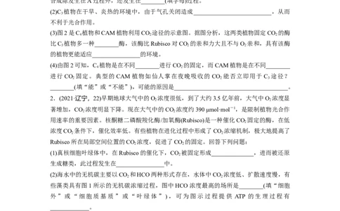 第3单元　解惑练1　C3植物、C4植物和CAM植物_2024年新高考资料_1.2024一轮复习_2024年高考生物一轮复习讲义（新人教版）_学生版在此文件夹_一轮复习69练_第三单元　细胞的能量供应和利用