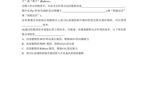 第3单元　解惑练1　C3植物、C4植物和CAM植物_2024年新高考资料_1.2024一轮复习_2024年高考生物一轮复习讲义（新人教版）_学生版在此文件夹_一轮复习69练_第三单元　细胞的能量供应和利用