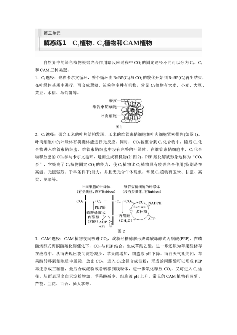 第3单元　解惑练1　C3植物、C4植物和CAM植物_2024年新高考资料_1.2024一轮复习_2024年高考生物一轮复习讲义（新人教版）_学生版在此文件夹_一轮复习69练_第三单元　细胞的能量供应和利用