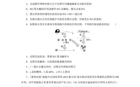 2023版新教材高考生物微专题小练习专练52基因的表达202208091220_通用版（老高考）复习资料_2023年复习资料_一轮复习_2023届高考生物一轮微专题100练