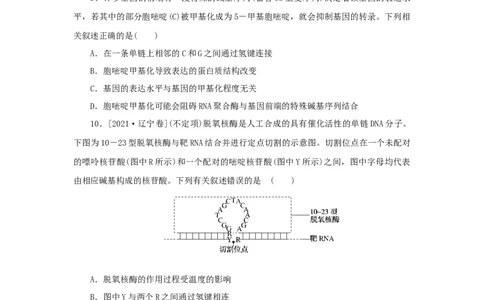 2023版新教材高考生物微专题小练习专练52基因的表达202208091220_通用版（老高考）复习资料_2023年复习资料_一轮复习_2023届高考生物一轮微专题100练