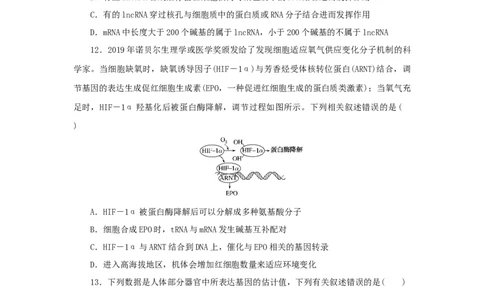 2023版新教材高考生物微专题小练习专练52基因的表达202208091220_通用版（老高考）复习资料_2023年复习资料_一轮复习_2023届高考生物一轮微专题100练