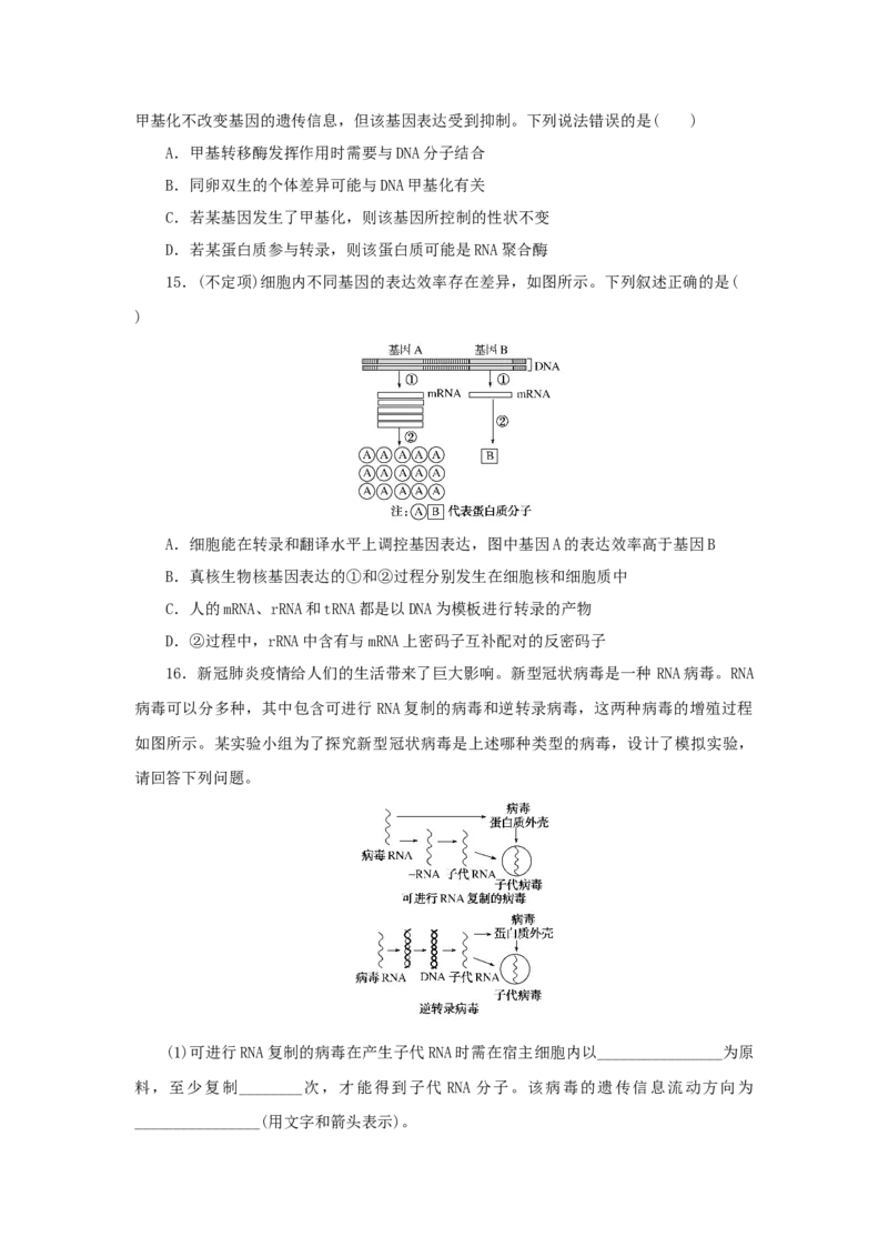 2023版新教材高考生物微专题小练习专练52基因的表达202208091220_通用版（老高考）复习资料_2023年复习资料_一轮复习_2023届高考生物一轮微专题100练