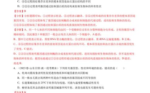 第22讲基因的表达、基因与性状的关系（练习）（解析版）_2024年新高考资料_1.2024一轮复习_2024年高考生物一轮复习讲练测（新教材新高考）