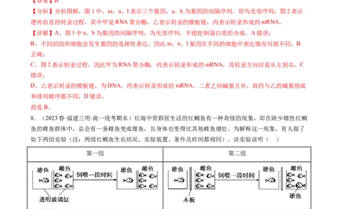 第22讲基因的表达、基因与性状的关系（练习）（解析版）_2024年新高考资料_1.2024一轮复习_2024年高考生物一轮复习讲练测（新教材新高考）