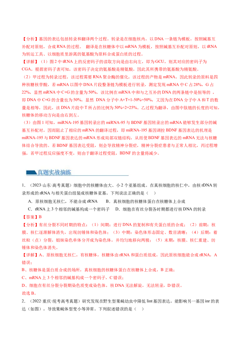第22讲基因的表达、基因与性状的关系（练习）（解析版）_2024年新高考资料_1.2024一轮复习_2024年高考生物一轮复习讲练测（新教材新高考）