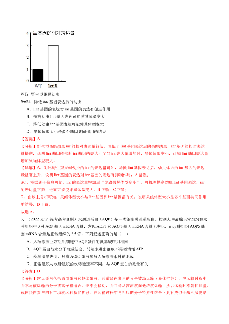 第22讲基因的表达、基因与性状的关系（练习）（解析版）_2024年新高考资料_1.2024一轮复习_2024年高考生物一轮复习讲练测（新教材新高考）