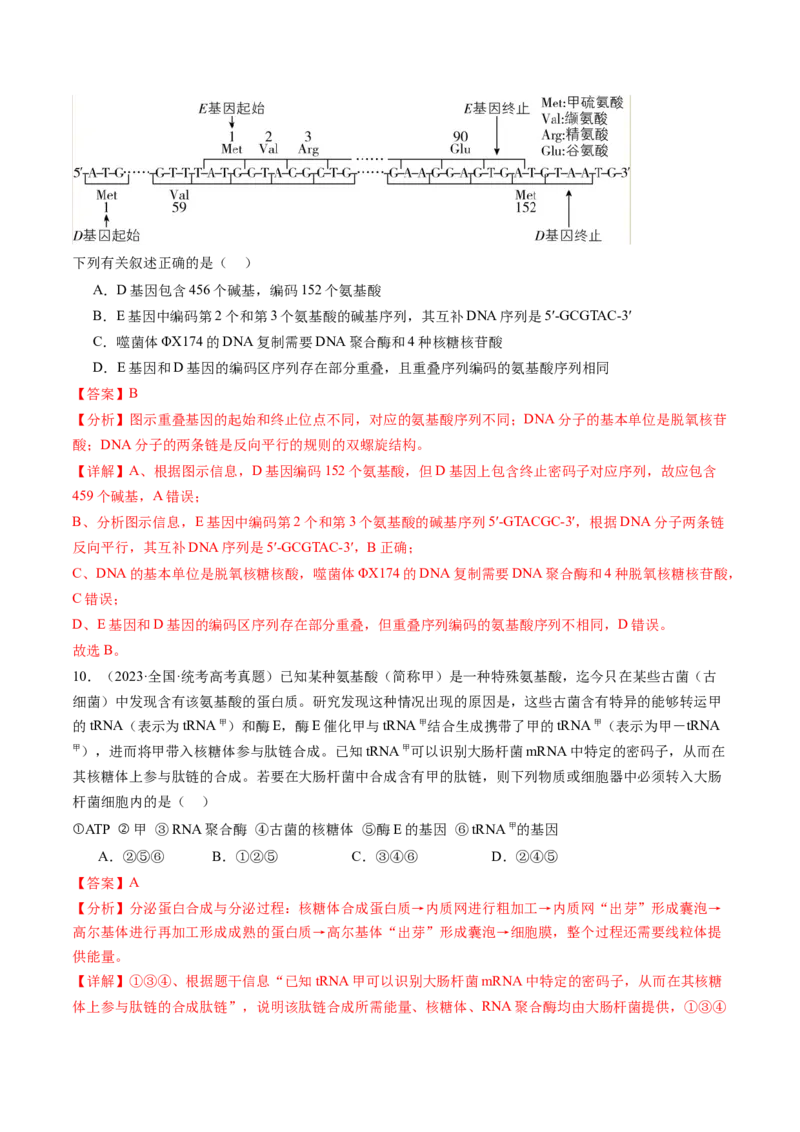 第22讲基因的表达、基因与性状的关系（练习）（解析版）_2024年新高考资料_1.2024一轮复习_2024年高考生物一轮复习讲练测（新教材新高考）