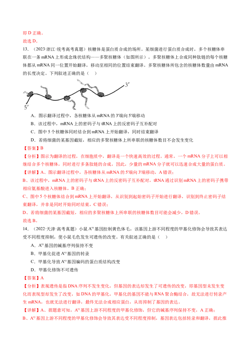 第22讲基因的表达、基因与性状的关系（练习）（解析版）_2024年新高考资料_1.2024一轮复习_2024年高考生物一轮复习讲练测（新教材新高考）