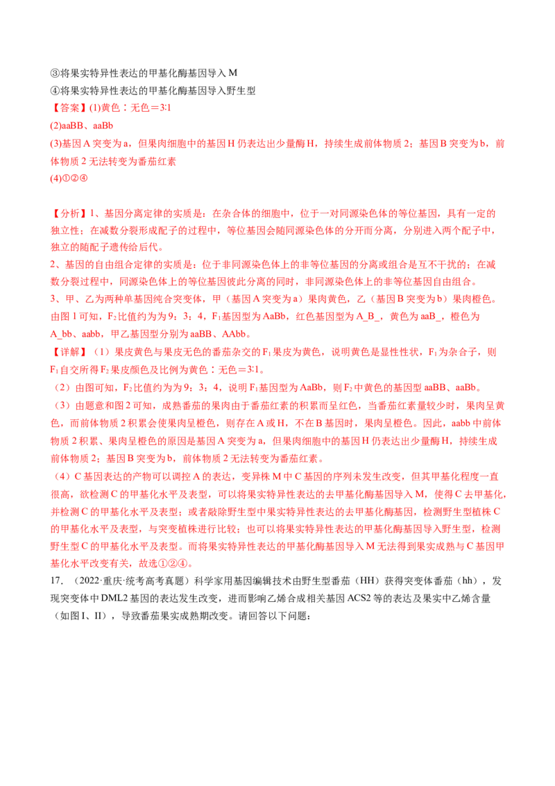 第22讲基因的表达、基因与性状的关系（练习）（解析版）_2024年新高考资料_1.2024一轮复习_2024年高考生物一轮复习讲练测（新教材新高考）