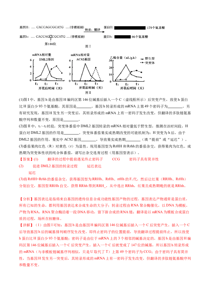 第22讲基因的表达、基因与性状的关系（练习）（解析版）_2024年新高考资料_1.2024一轮复习_2024年高考生物一轮复习讲练测（新教材新高考）