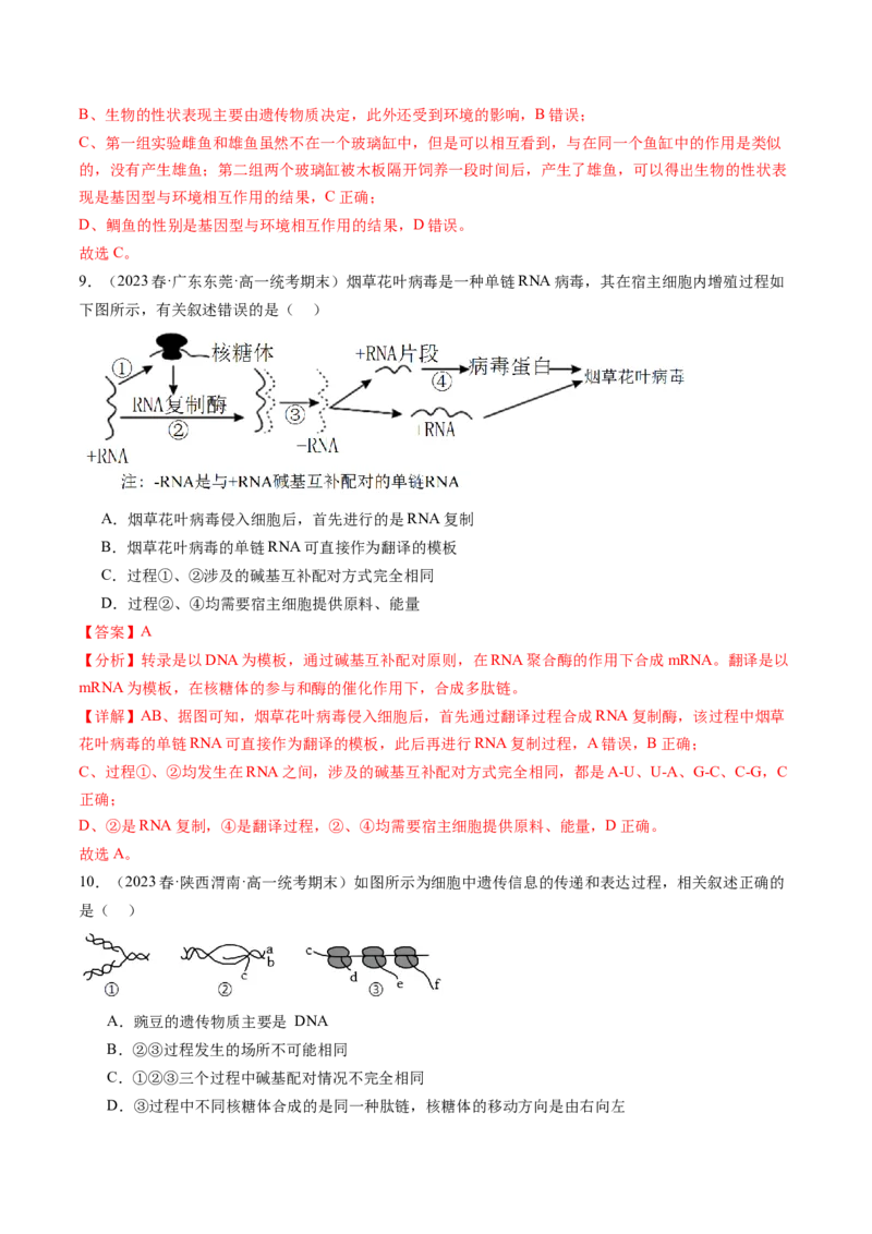 第22讲基因的表达、基因与性状的关系（练习）（解析版）_2024年新高考资料_1.2024一轮复习_2024年高考生物一轮复习讲练测（新教材新高考）