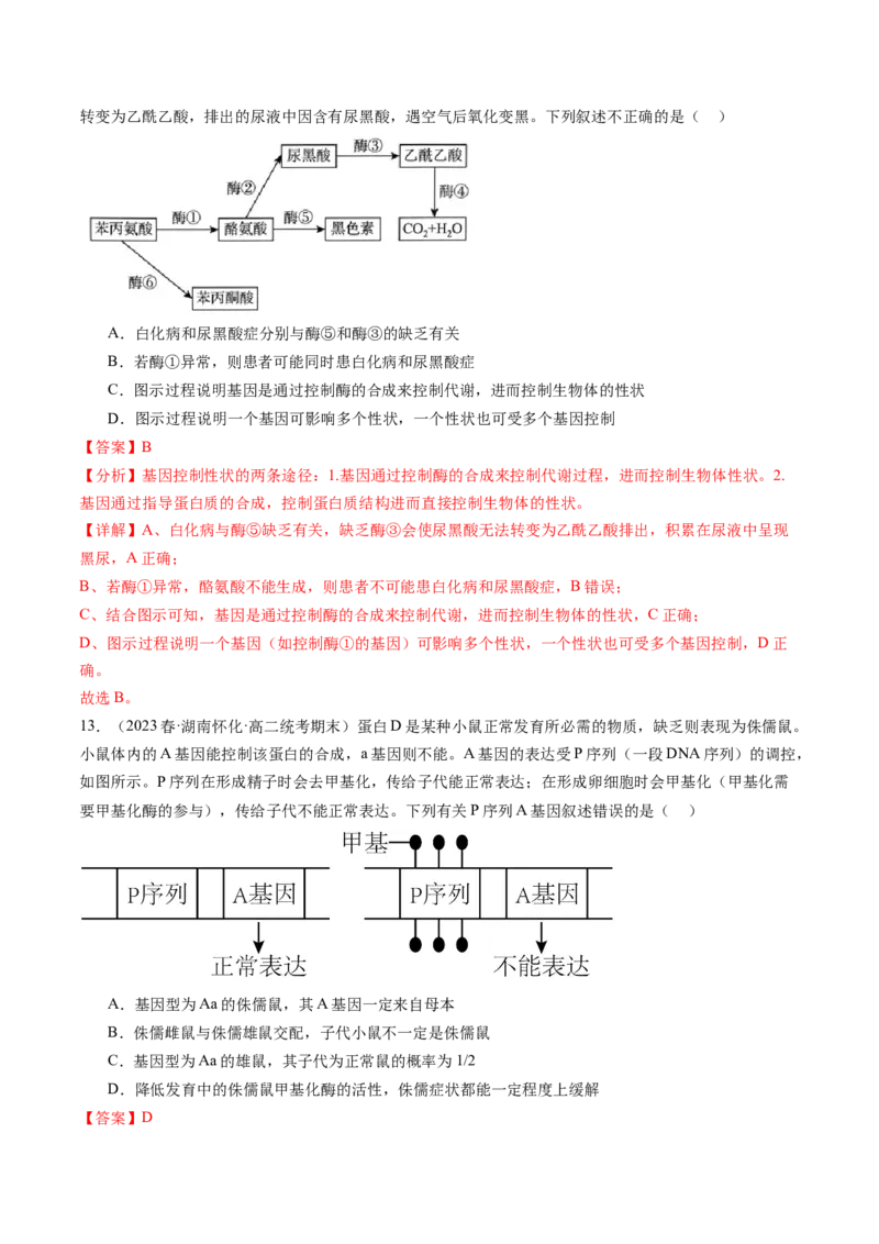 第22讲基因的表达、基因与性状的关系（练习）（解析版）_2024年新高考资料_1.2024一轮复习_2024年高考生物一轮复习讲练测（新教材新高考）