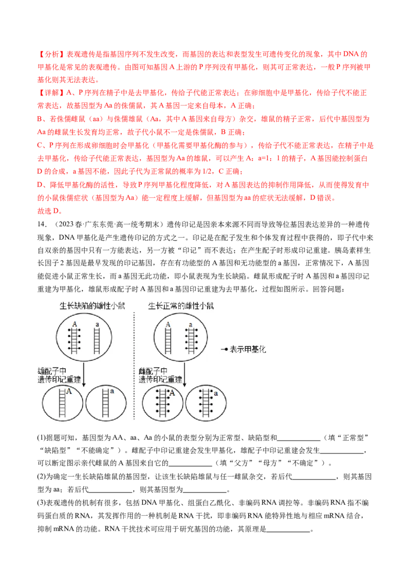 第22讲基因的表达、基因与性状的关系（练习）（解析版）_2024年新高考资料_1.2024一轮复习_2024年高考生物一轮复习讲练测（新教材新高考）