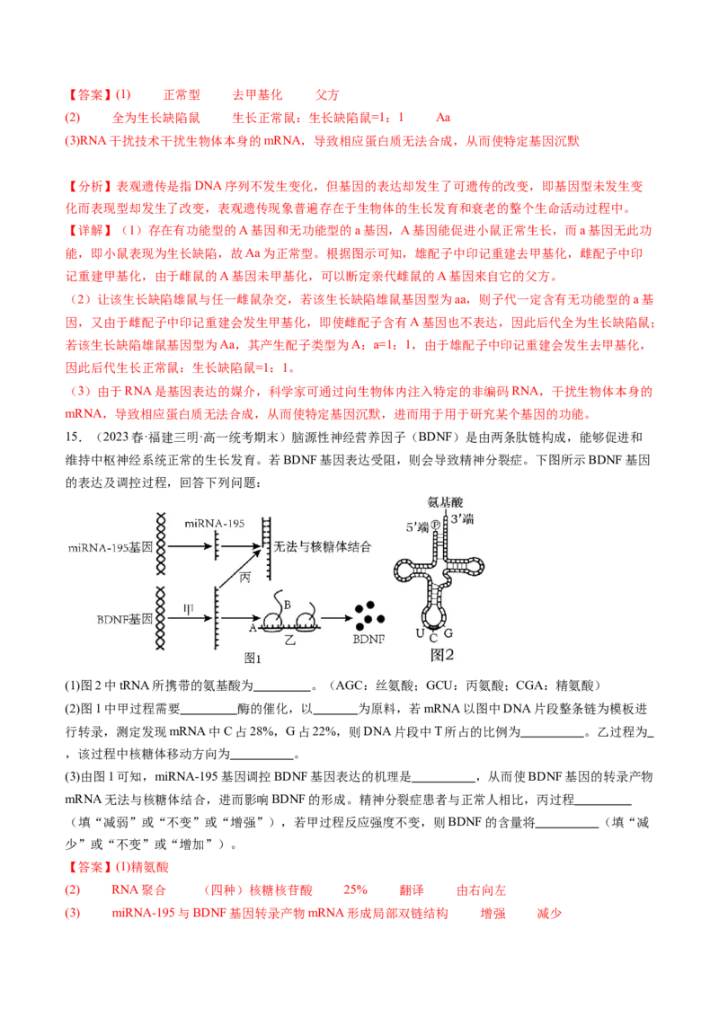 第22讲基因的表达、基因与性状的关系（练习）（解析版）_2024年新高考资料_1.2024一轮复习_2024年高考生物一轮复习讲练测（新教材新高考）
