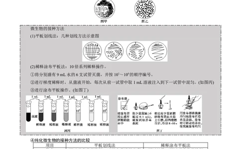 GKSW150_第31讲微生物的培养与应用-备战2022年高考生物一轮复习精品讲义（人教版）(原卷版)_新高考复习资料_2022年新高考复习资料_备战2022新高考生物一轮复习精品讲义（人教版）