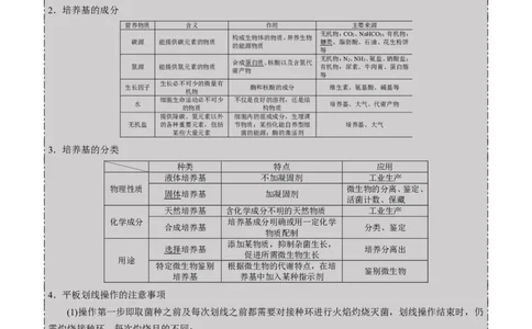 GKSW150_第31讲微生物的培养与应用-备战2022年高考生物一轮复习精品讲义（人教版）(原卷版)_新高考复习资料_2022年新高考复习资料_备战2022新高考生物一轮复习精品讲义（人教版）