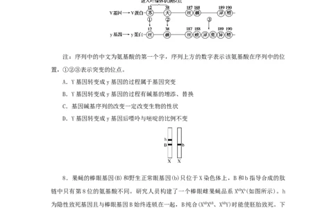 2023版新教材高考生物微专题小练习专练53基因突变和基因重组202208091221_通用版（老高考）复习资料_2023年复习资料_一轮复习_2023届高考生物一轮微专题100练