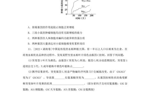 2023版新教材高考生物微专题小练习专练53基因突变和基因重组202208091221_通用版（老高考）复习资料_2023年复习资料_一轮复习_2023届高考生物一轮微专题100练