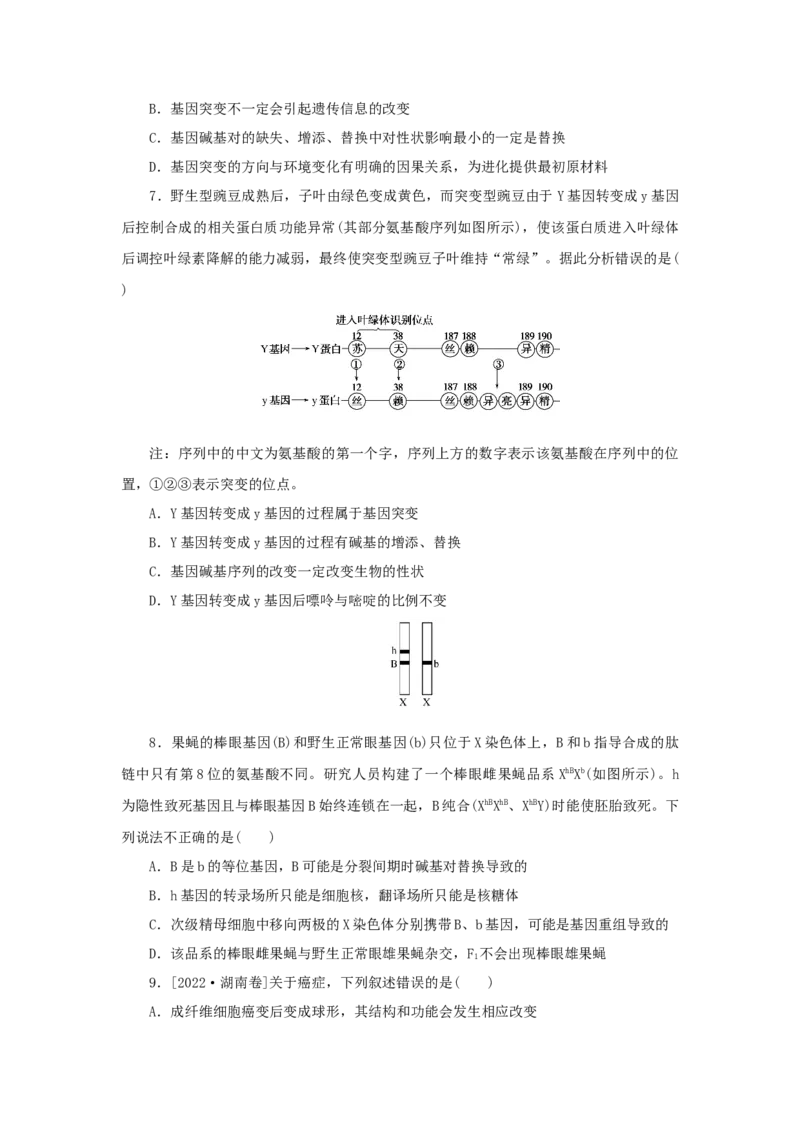 2023版新教材高考生物微专题小练习专练53基因突变和基因重组202208091221_通用版（老高考）复习资料_2023年复习资料_一轮复习_2023届高考生物一轮微专题100练