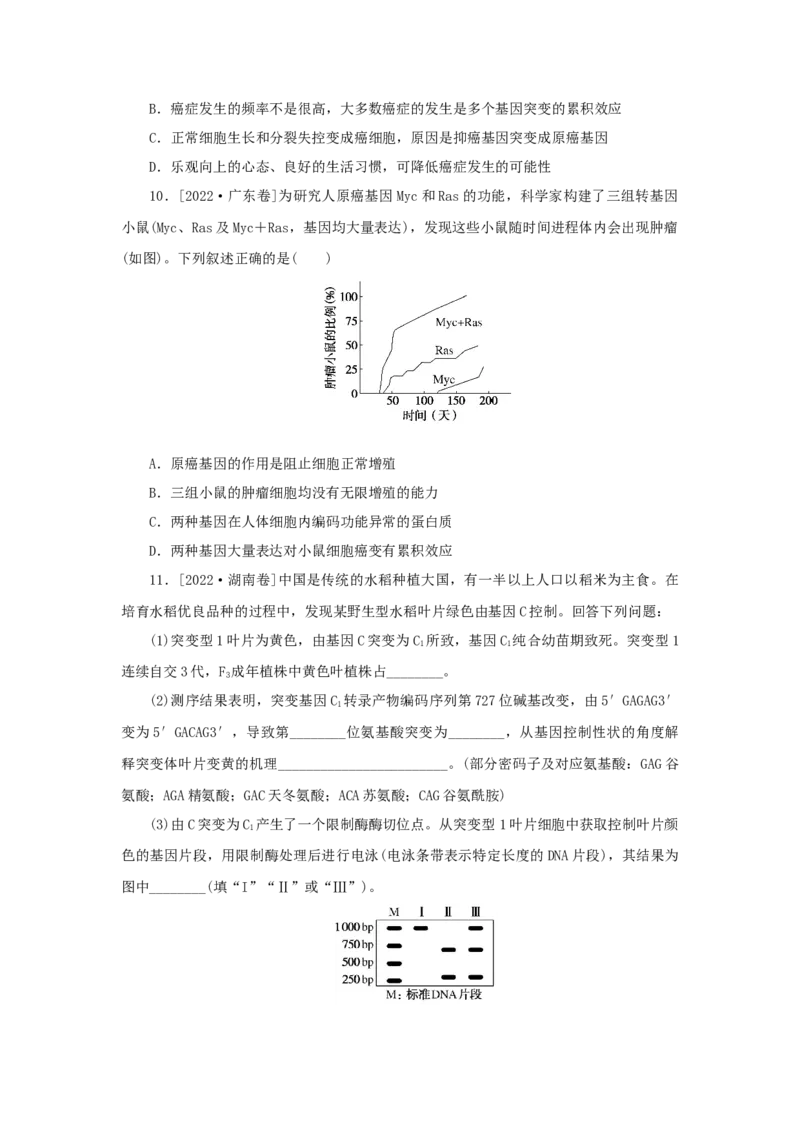 2023版新教材高考生物微专题小练习专练53基因突变和基因重组202208091221_通用版（老高考）复习资料_2023年复习资料_一轮复习_2023届高考生物一轮微专题100练