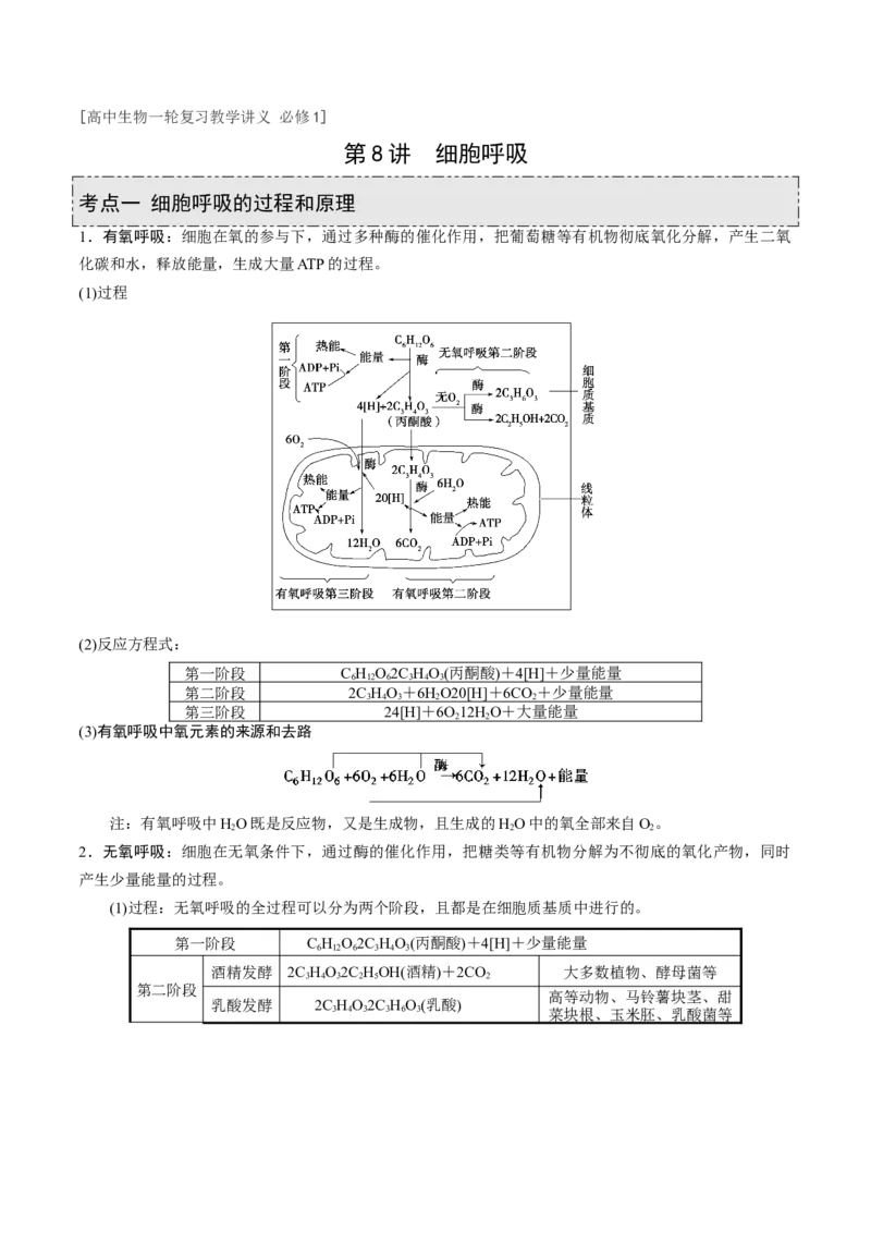 GKSW150_第8讲细胞呼吸-备战2022年高考生物一轮复习精品讲义（人教版）(解析版)_新高考复习资料_2022年新高考复习资料_备战2022新高考生物一轮复习精品讲义（人教版）