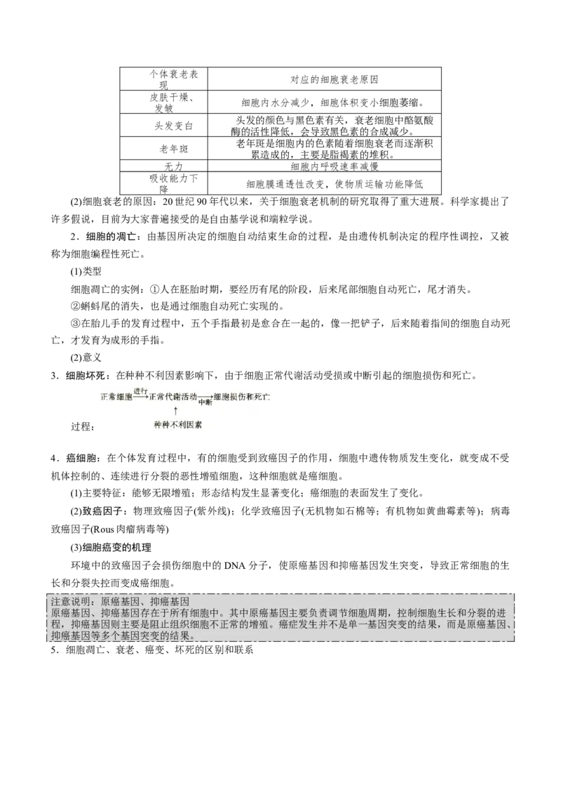 GKSW150_第11讲细胞的分化、衰老、凋亡与癌变-备战2022年高考生物一轮复习精品讲义（人教版）(解析版)_新高考复习资料_2022年新高考复习资料