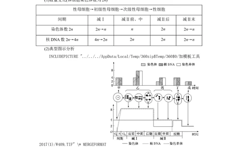 [12533082]高中生物一轮复习学案：第12讲　减数分裂与受精作用_新高考复习资料_2023年新高考复习资料_一轮复习_精讲精练2023届新高考生物一轮复习学案