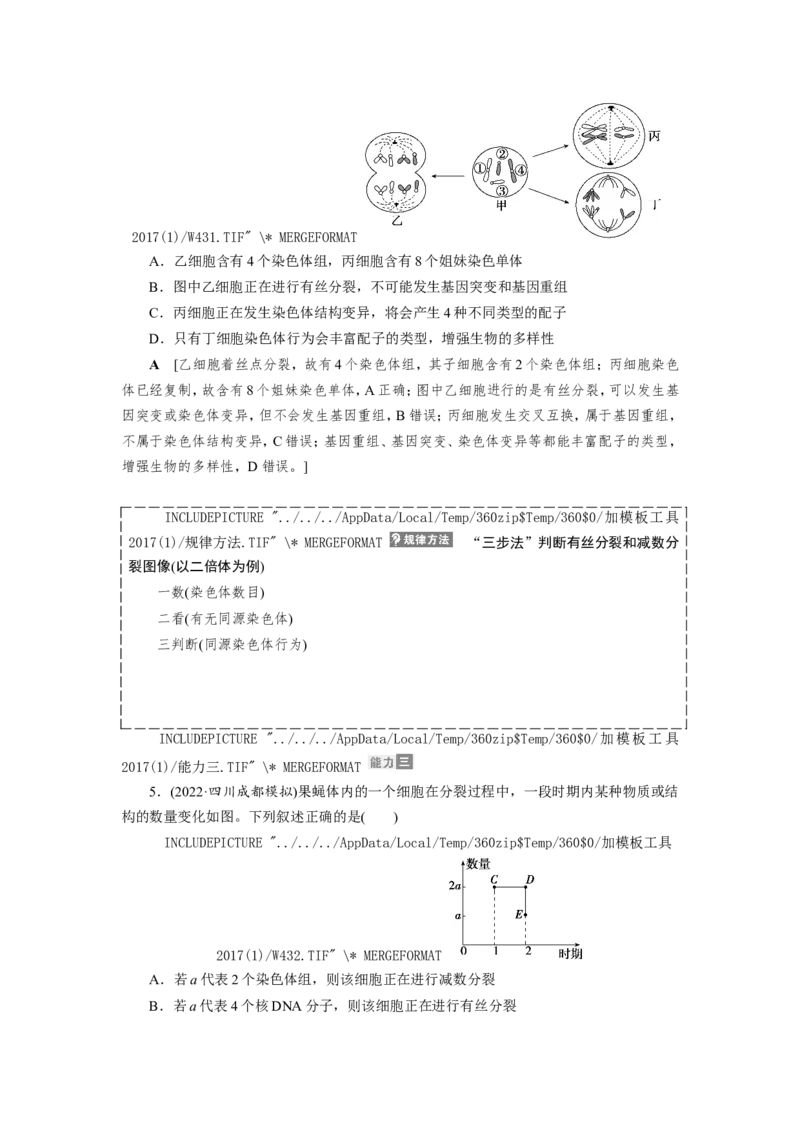 [12533082]高中生物一轮复习学案：第12讲　减数分裂与受精作用_新高考复习资料_2023年新高考复习资料_一轮复习_精讲精练2023届新高考生物一轮复习学案