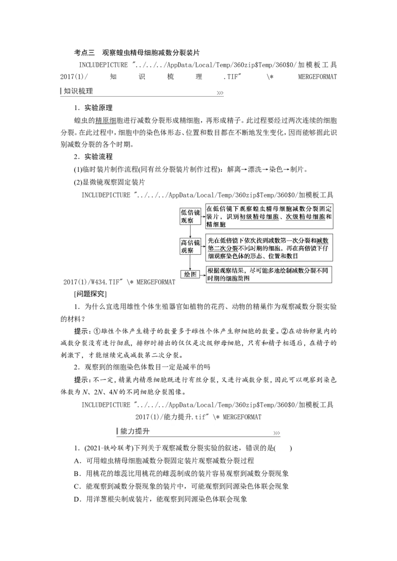 [12533082]高中生物一轮复习学案：第12讲　减数分裂与受精作用_新高考复习资料_2023年新高考复习资料_一轮复习_精讲精练2023届新高考生物一轮复习学案