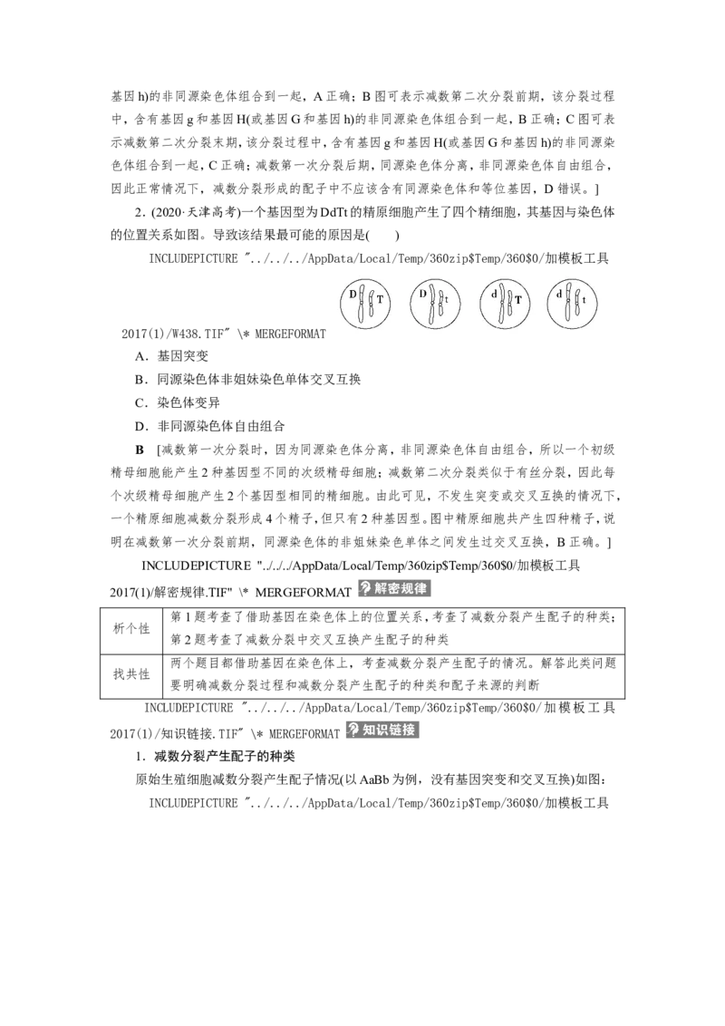 [12533082]高中生物一轮复习学案：第12讲　减数分裂与受精作用_新高考复习资料_2023年新高考复习资料_一轮复习_精讲精练2023届新高考生物一轮复习学案