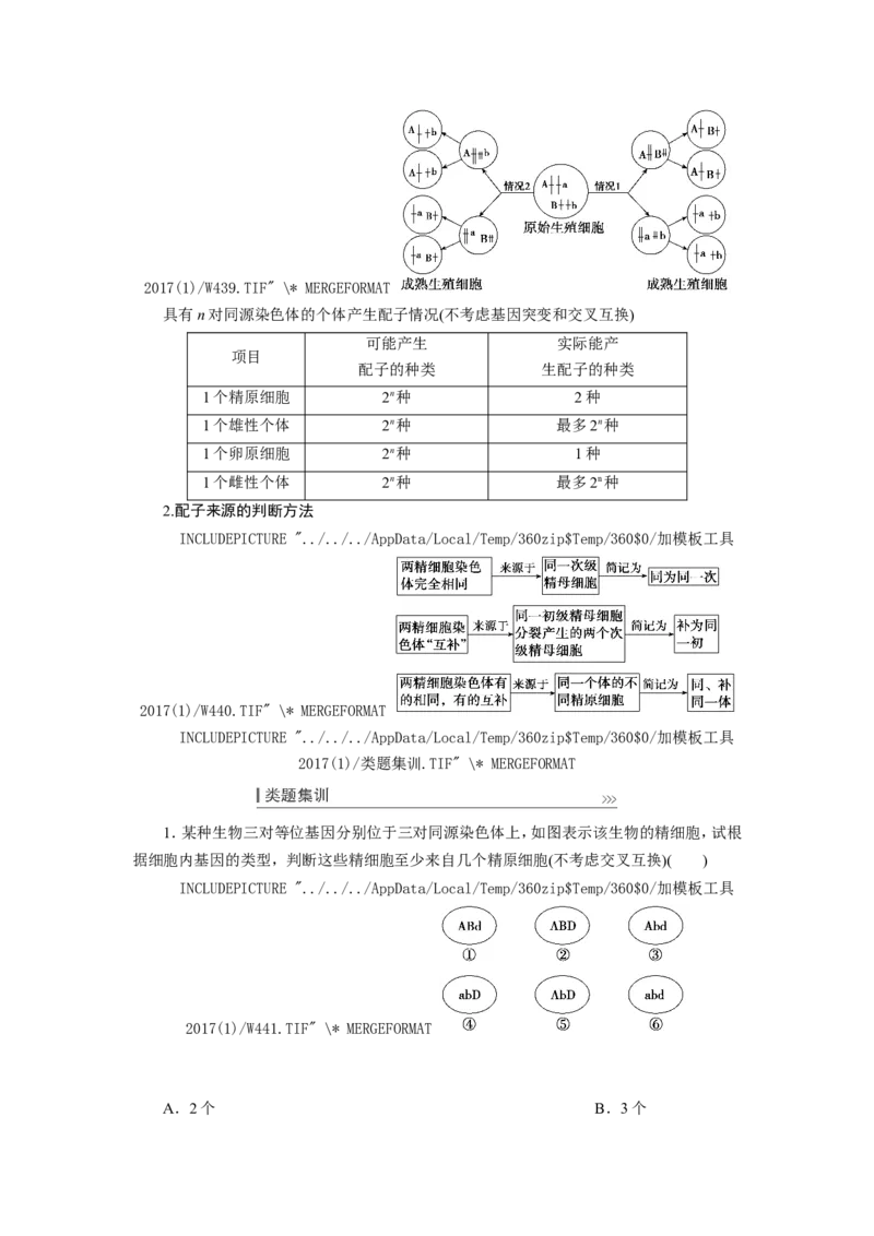 [12533082]高中生物一轮复习学案：第12讲　减数分裂与受精作用_新高考复习资料_2023年新高考复习资料_一轮复习_精讲精练2023届新高考生物一轮复习学案