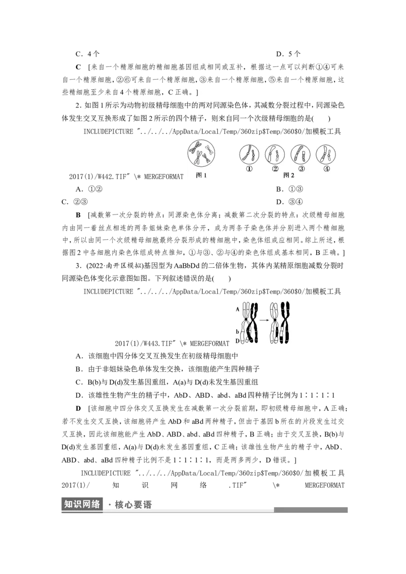 [12533082]高中生物一轮复习学案：第12讲　减数分裂与受精作用_新高考复习资料_2023年新高考复习资料_一轮复习_精讲精练2023届新高考生物一轮复习学案