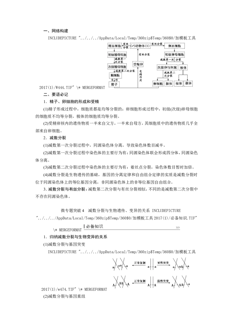 [12533082]高中生物一轮复习学案：第12讲　减数分裂与受精作用_新高考复习资料_2023年新高考复习资料_一轮复习_精讲精练2023届新高考生物一轮复习学案