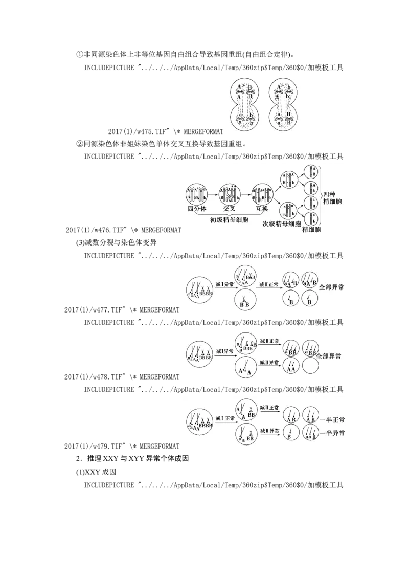 [12533082]高中生物一轮复习学案：第12讲　减数分裂与受精作用_新高考复习资料_2023年新高考复习资料_一轮复习_精讲精练2023届新高考生物一轮复习学案