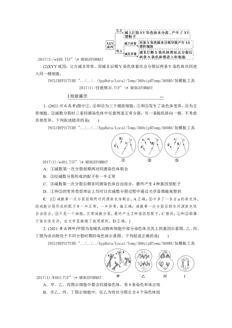 [12533082]高中生物一轮复习学案：第12讲　减数分裂与受精作用_新高考复习资料_2023年新高考复习资料_一轮复习_精讲精练2023届新高考生物一轮复习学案
