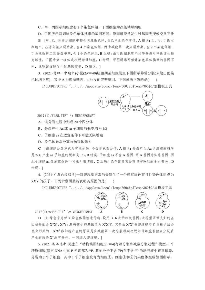 [12533082]高中生物一轮复习学案：第12讲　减数分裂与受精作用_新高考复习资料_2023年新高考复习资料_一轮复习_精讲精练2023届新高考生物一轮复习学案