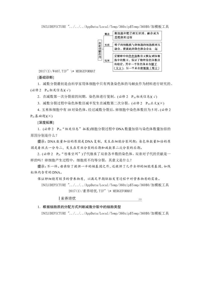 [12533082]高中生物一轮复习学案：第12讲　减数分裂与受精作用_新高考复习资料_2023年新高考复习资料_一轮复习_精讲精练2023届新高考生物一轮复习学案