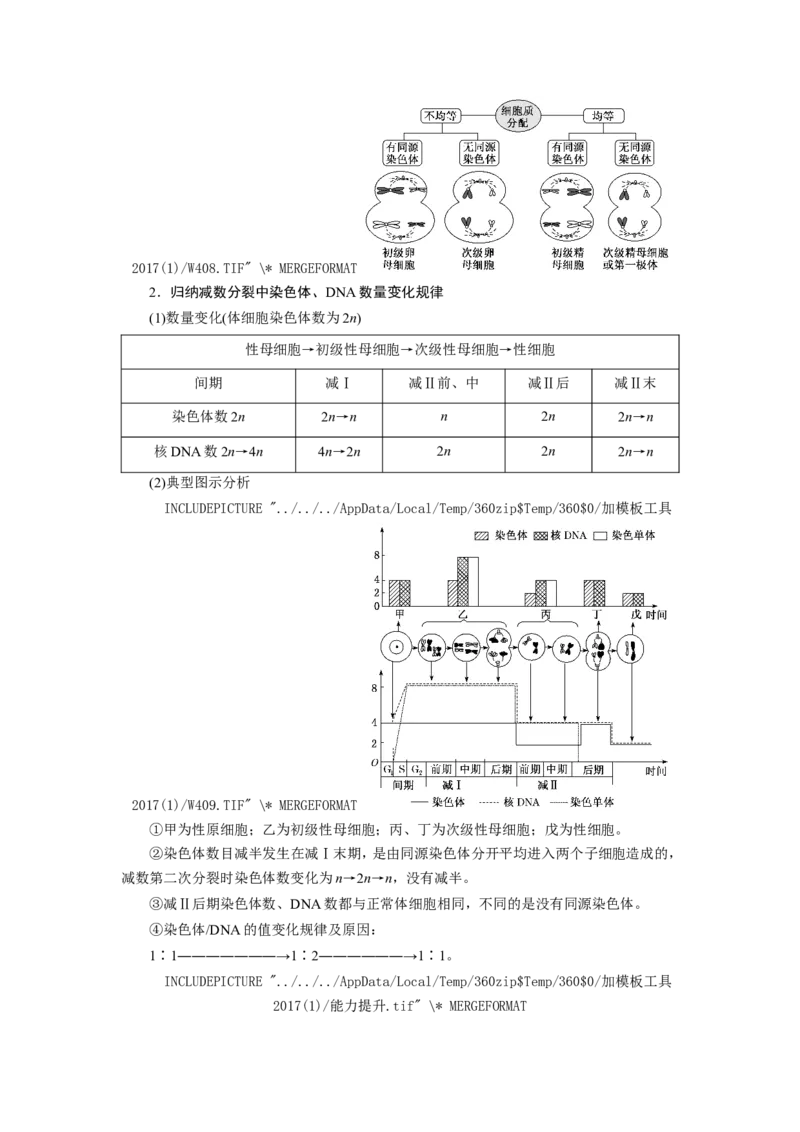 [12533082]高中生物一轮复习学案：第12讲　减数分裂与受精作用_新高考复习资料_2023年新高考复习资料_一轮复习_精讲精练2023届新高考生物一轮复习学案