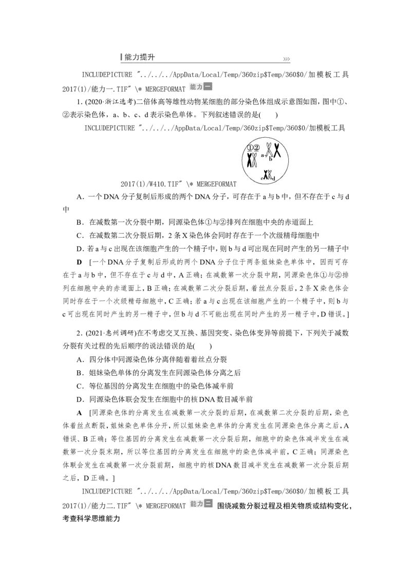[12533082]高中生物一轮复习学案：第12讲　减数分裂与受精作用_新高考复习资料_2023年新高考复习资料_一轮复习_精讲精练2023届新高考生物一轮复习学案