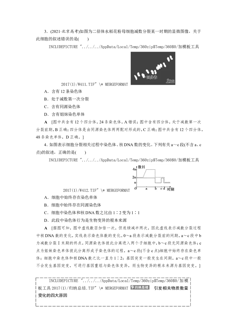 [12533082]高中生物一轮复习学案：第12讲　减数分裂与受精作用_新高考复习资料_2023年新高考复习资料_一轮复习_精讲精练2023届新高考生物一轮复习学案