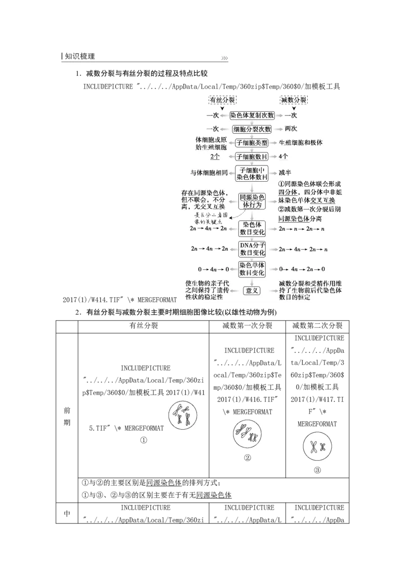 [12533082]高中生物一轮复习学案：第12讲　减数分裂与受精作用_新高考复习资料_2023年新高考复习资料_一轮复习_精讲精练2023届新高考生物一轮复习学案