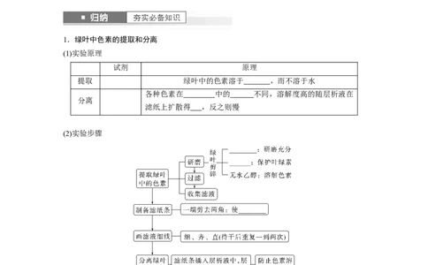 第3单元　第5课时　捕获光能的色素和结构及光合作用的原理_2024年新高考资料_1.2024一轮复习_2024年高考生物一轮复习讲义（新人教版）_学生版在此文件夹_大一轮复习讲义